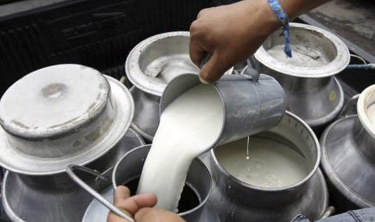 दूधमा किसानलाई प्रतिलिटर पन्ध्र अनुदान, ३३ लाख ४६ हजार वितरण